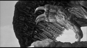 6 giant claw PDVD 020 300x167 Opas Filmkiste: Angriff der Riesenkralle (1957)